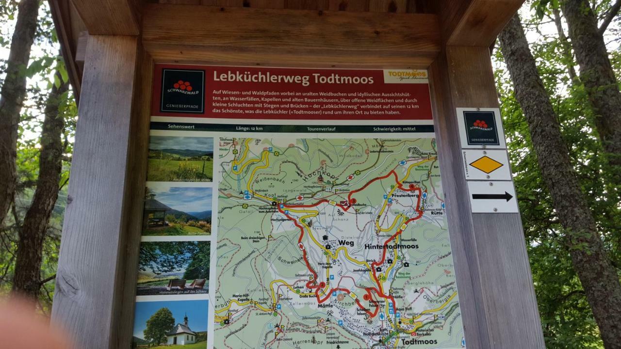 Ferienwohnung im Schwarzwald Todtmoos Exterior foto